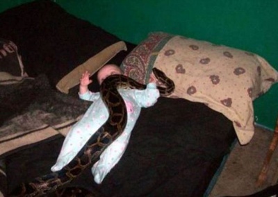 Letting an Anaconda Play with a Baby?