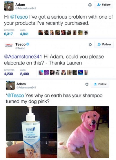 Did the Shampoo Really Turned the Dog Pink?