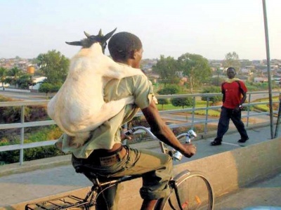 All He Has a Bike and Goat