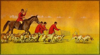 The hunt