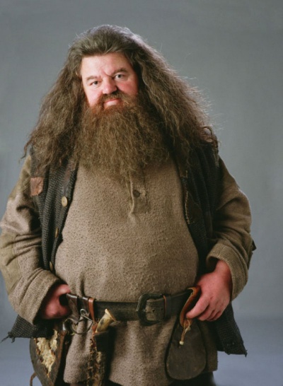 Hagrid's Beard Trap