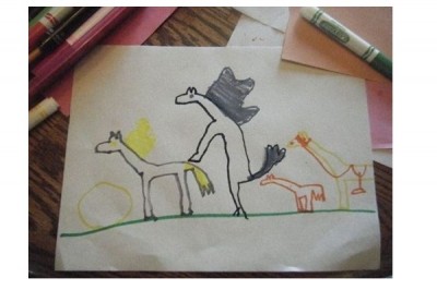 Animal sex
