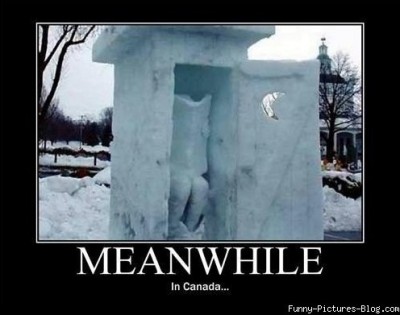 It's chilly on the toilet