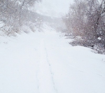Blizzard of 1978