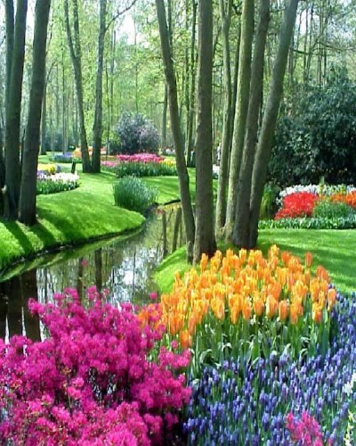 Keukenhof