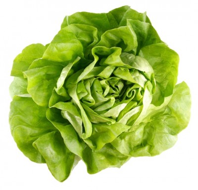 Lettuce