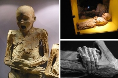 Museum of the Mummies