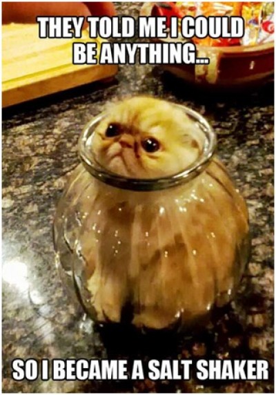 Salt Shaker Kitty