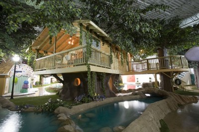 Tree House