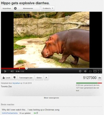 Hippo Gets Explosive Diarrhea