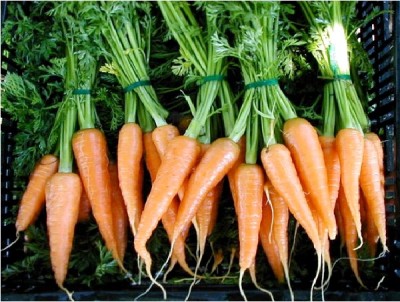 Carrots