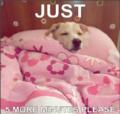 Puppy Snooze Alarm