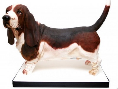 Hound Dog Cake