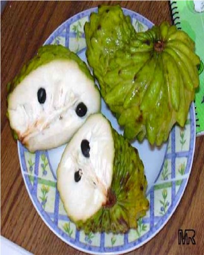 Custard apple