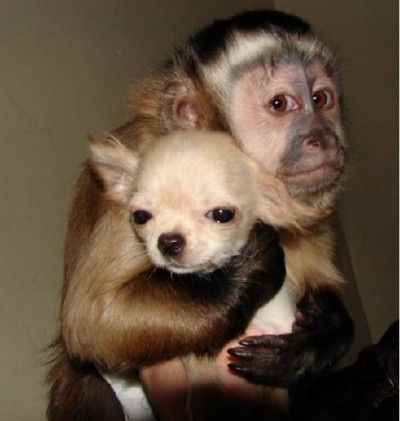 A loving hug