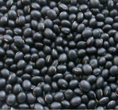 Black Beans