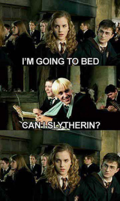 Mind If I Slytherin?