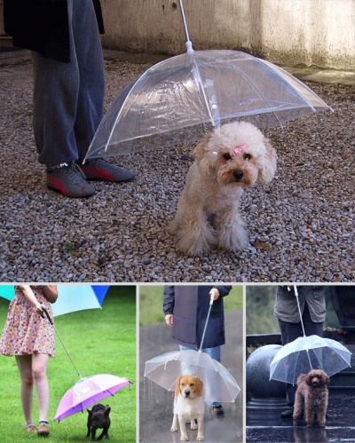 Umbrella for Dogs