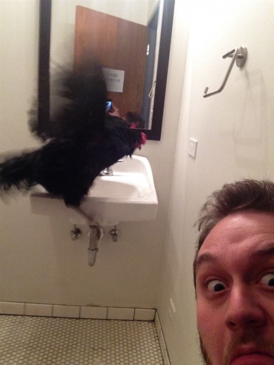 Black Cock Spotted at a Public Bathroom