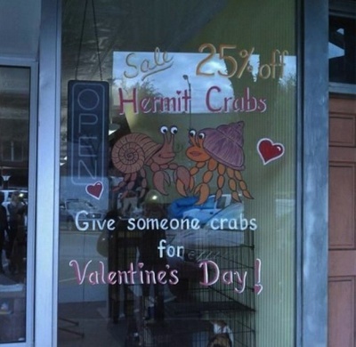 How About Crabs as Valentine's Day Gift?