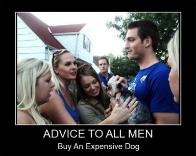 The dog wins