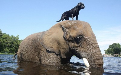 The vantage point