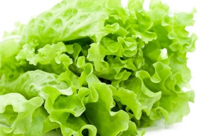 Lettuce