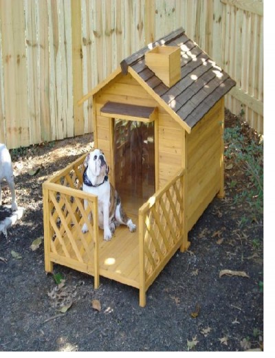 Dog house with patio