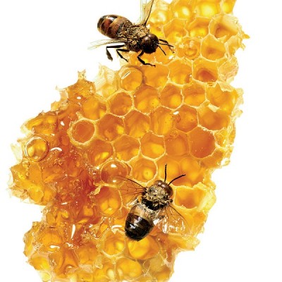 Honey