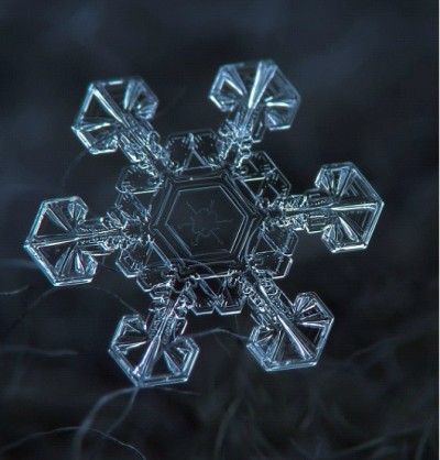 Twinkle, Twinkle Little Star