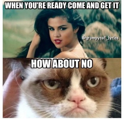Cat Not Impressed