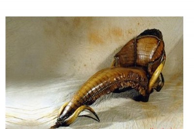 Roach Couture