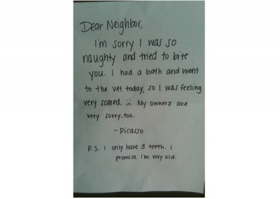 Apology from a Dog
