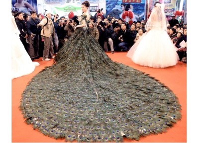 Peacock Feather Dress