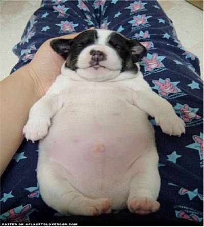Totally relaxed