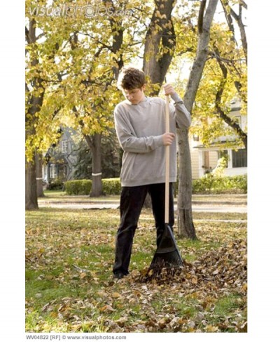 Rake Leaves