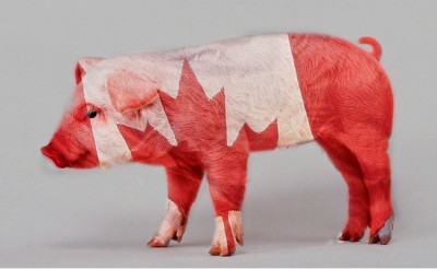 Canadian bacon