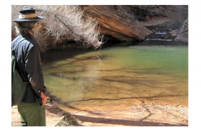 Wilderness Man