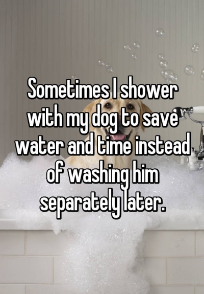 Shower with Dog; Save Time and Water! 