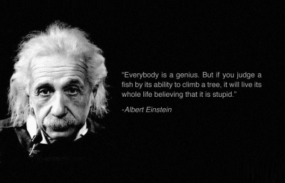 Albert Einstein Quote