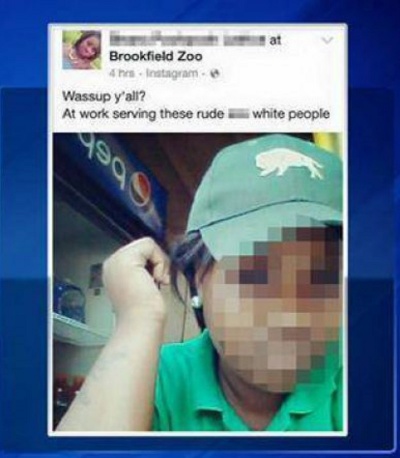 Brookfield Zoo Employee Fired Over a Racist Tweet