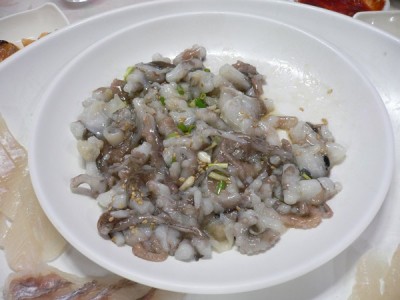 Live octopus