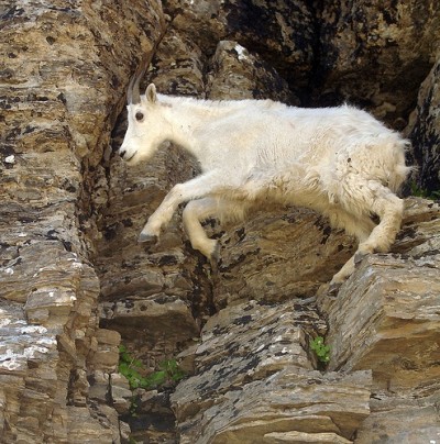 A leap of faith