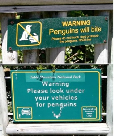 Penguins Will Bite