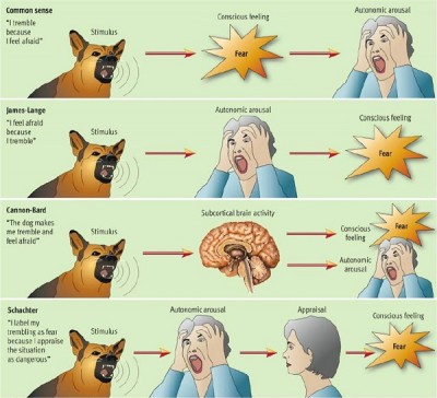 Theory of emotion