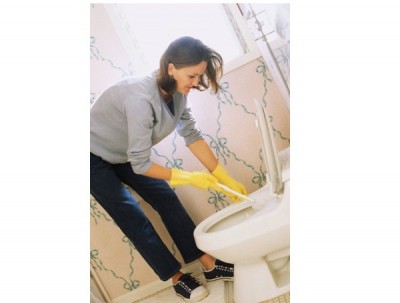 Toilets Are Extremely Clean