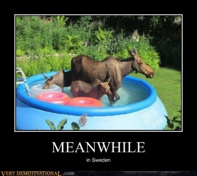 Animals having a bath