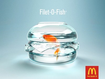 Fish Out of Water