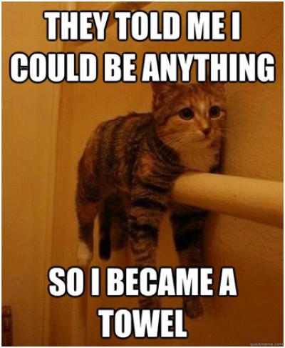 Cat Towel