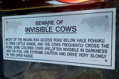 How do we see them?